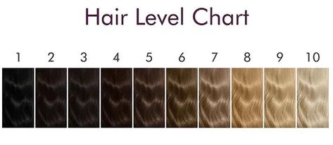 Hair_level_chart_480x480.webp (480×210) Hair Level Chart, Hair Color Levels, Hair Levels, Men Hair, Rustic Colors, Hair Colours, Level 3, Hair Cut, About Hair