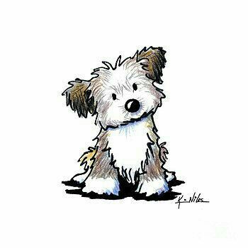 Havanese Puppy, Bichon Havanais, Puppy Drawing, Dog Drawings, Havanese Puppies, Puppy Art, Havanese Dogs, 강아지 그림, 자수 디자인