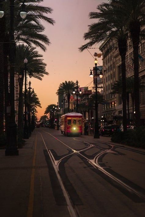 New Orleans Wallpaper Iphone, New Orleans Culture, New Orleans At Night, Nova Orleans Aesthetic, Vintage New Orleans Aesthetic, New Orleans Aesthetic, Photography Cityscapes, Travel Aesthetic Beach, New Orleans Photography