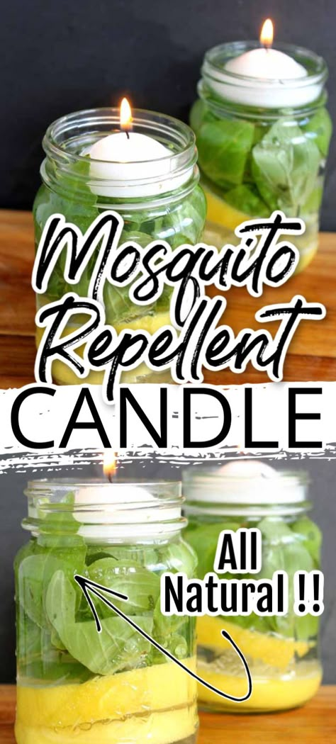 Mosquito Repellent Candles, Diy Mosquito Repellent Candle, Floating Candles Mason Jars, Bug Repellent Candles, Diy Bug Repellent, Mosquito Repellent Candle, Diy Mosquito Repellent, Natural Mosquito Repellent, Make Candles