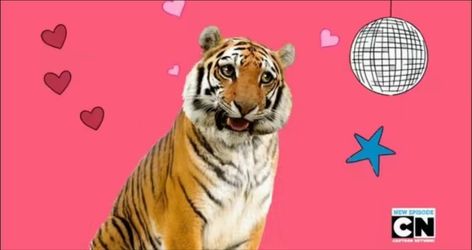 Uncle Grandpa Tiger, Giant Realistic Flying Tiger, Nendoroid Anime, Uncle Grandpa, Flying Tiger, Meme Stickers, Silly Images, Weird Pictures, Silly Pictures