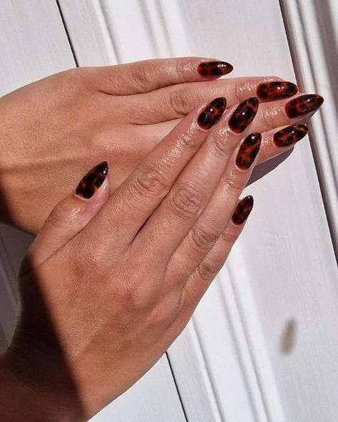 Black Amber Nails, Autumn Blooming Gel Nails, Fall Blooming Gel Nails, Blooming Nails Gel, Nail Art Blooming Gel, Blooming Gel Nail Art Ideas, Nails Blooming Gel, Blooming Nail Art, Amber Nail