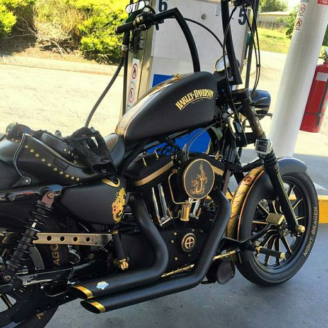 Gold dragon Harley Davidson Sportster Iron 883 Black And Gold Harley Davidson, Iron 883 Custom Ideas, Harley Davidson Iron 883 Custom, Iron 883 Custom, Gold Harley Davidson, Harvey Davidson, Hd 883 Iron, Harley Davidson Motorcycles Sportster, Sportster 883 Iron