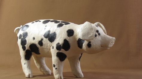 Paper Mache Piglet Kune Kune Pigs, Pig Sculpture, Paper Mesh, Animal Paintings Acrylic, Paper Mache Animals, Paper Mache Clay, Circus Animals, Paper Mache Sculpture, Paper Mache Art