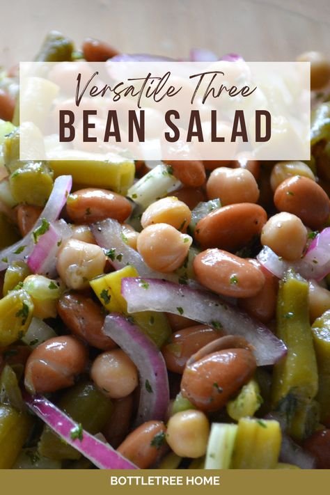 Ideal for picnics, barbeques, or as a side dish at any meal. Three Bean Salad is not only delicious but also packed with protien and fiber. Making it a healthy and flavorful option for any occasion. Heart Healthy Bean Salad, 3 Bean Salad Recipe Healthy, Keto 3 Bean Salad Recipe, 3 Bean Salad Recipe Healthy Clean Eating, Healthy 3 Bean Salad, Low Calorie Bean Salad, Low Carb Beans, Four Bean Salad, Yellow Wax Beans