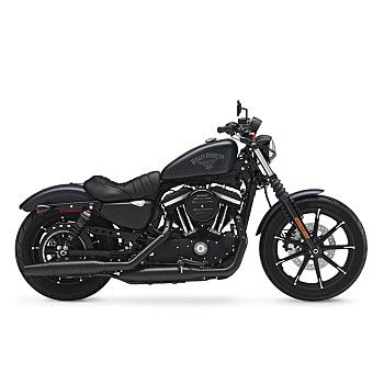 2015 Harley-Davidson Sportster for sale near Houston, Texas 77018 - Motorcycles on Autotrader Hd 883 Iron, Sportster Motorcycle, Motos Harley, Biking Diy, Specialized Bikes, Harley Davidson Road Glide, Iron 883, West Coast Choppers, Harley Davidson Street Glide