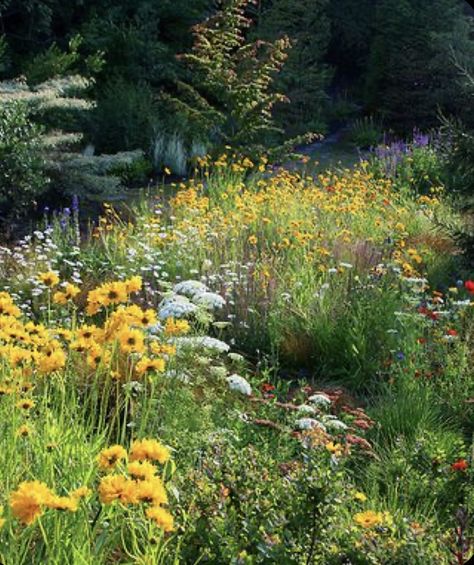 Clover Field, Little Cottage, Spring Is Coming, Flower Field, Lily Of The Valley, The Valley, Pretty Wallpapers, Fairy Garden, Spring Time