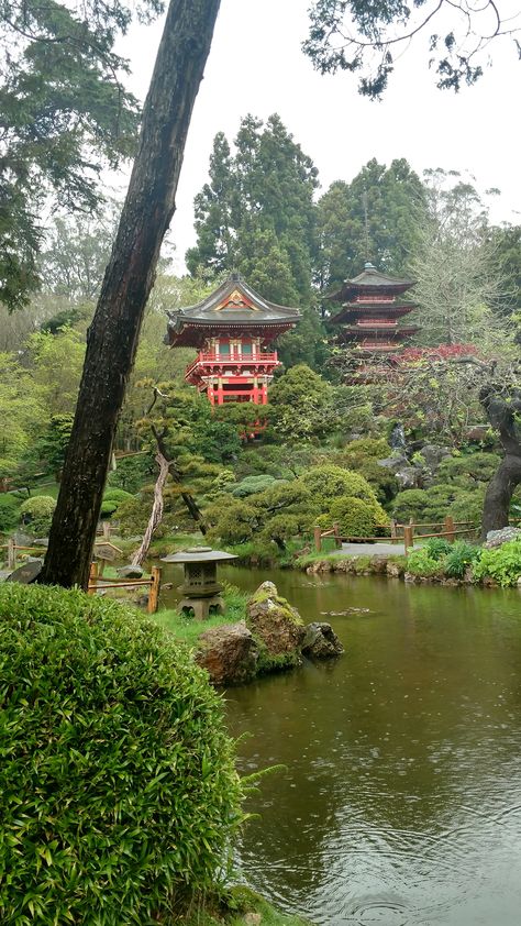 San Francisco Japanese Tea Garden, San Francisco Nature, San Francisco Places To Visit, San Francisco Park, Japanese Tea Garden San Francisco, Japantown San Francisco, San Francisco Aesthetic, San Francisco Pictures, Japanese Tea Garden