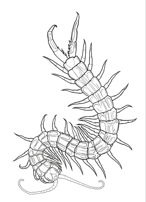 Neotraditional Centipede, Neo Traditional Centipede Tattoo, Centipede Tattoo Stencil, Centepide Tattoo Design, Centepide Tattoo Drawing, Centapeid Tattoo Design, Centipede Illustration, Traditional Centipede Tattoo, Japanese Centipede