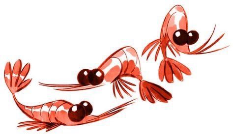 Shrimp Illustration Cute, Shrimp Character Design, Shrimp Character, Shrimp Illustrations, Fish Character Design, Shrimp Drawing, Fabien Mense, Fish Character, Love Character Design