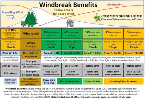 The key elements of windbreak design are the purpose of your windbreak planting, species selection, and density. Once you determine your primary goals (plant, people, or livestock protection, for example) you base the rest of your design on these goals. One planting can provide many different benefits. Windbreak Planting, Wind Break Garden, Windbreak Trees, European Country Home, Organic Building, Dream Homestead, Drought Tolerant Trees, Soil Conservation, Garden Cover