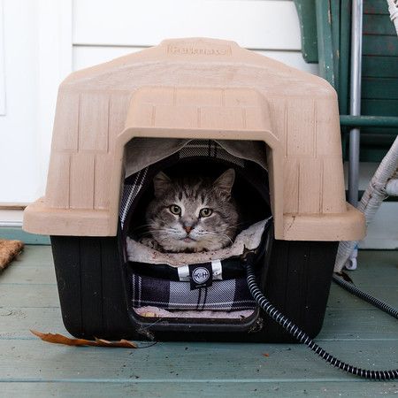 Ferrell Cat Shelter, Cat Shelters For Winter, Tnr Cats, Insulated Cat House, Cat Shelters, Outside Cat House, Heated Cat House, Outdoor Cat Shelter, Feral Cat Shelter