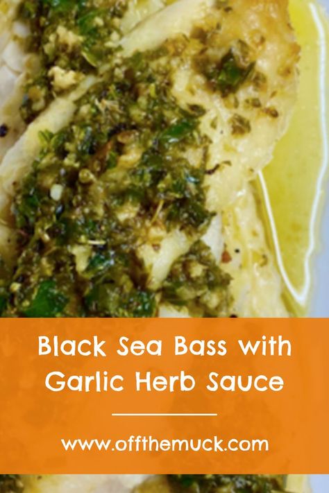 Fish fillets stacked on a plate with an herb sauce spread on top. Whole Black Sea Bass Recipe, Garlic Herb Sauce Recipe, Black Sea Bass Recipe, Garlic Herb Sauce, Sea Bass Recipe, Baked Sea Bass, Bass Recipe, Sea Bass Recipes, Fish Dinner Recipes