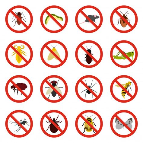 No insect sign icons set Premium Vector Sign Elements, Vector Nature, Graphic Editing, Icon Set Vector, Jojo Bizzare Adventure, Mobile Ui, Icon Set, Vector Icons, Image Illustration