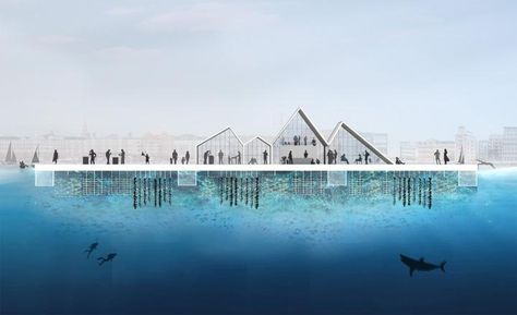 Harbour Farm is a highly ambitious port regeneration project orchestrated by communications firm Konvers and Effekt Architects in Copenhagen. It aims to transform polluted waters and under-employed docksides into urban fish farms, where seafood can be ... Copenhagen Architecture, Water Architecture, Floating Architecture, Farm Projects, Floating City, Architectural Section, Fish Farming, Wallpaper Magazine, Cultural Architecture