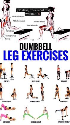 Stretching Exercises For Men, Leg Toning Workouts, Body Stretching Exercises, Stretching Exercises For Beginners, Exercises For Flexibility, Stretching Exercises For Flexibility, Dumbbell Leg Workout, Best Stretching Exercises, Stretches For Lower Back Pain