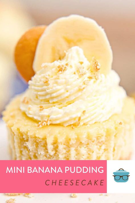 Fun, flavorful, creamy and easy, these Mini Banana Pudding Cheesecakes are the perfect handheld treat for any time of the year. Mini Banana Pudding Cheesecake, Chocolate Chip Cheesecake Bars, Banana Pudding Cheesecake, Mini Bananas, Banana Cheesecake, Cheesecake Cups, Chocolate Chip Cheesecake, Banana Dessert, Easy Pie