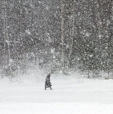 Snow Blizzard Art, Snow Cinematography, Soldier In Snow, Walking In Snow, Snow Inside, Snow In Summer, Snowed In, Winter Beauty, Snow Scenes