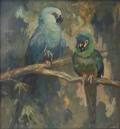 Illigers Macaw, Painting Prompts, Wildlife Drawings, Macaw Art, Kate Chopin, Parrot Painting, Artistic Vibe, Painting References, Parrots Art