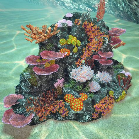 Pirate Shipwreck, Coral Reef Photography, Coral Collection, Sea Creatures Art, Sea Flowers, Underwater Plants, Cnidaria, Underwater Painting, Model Magic