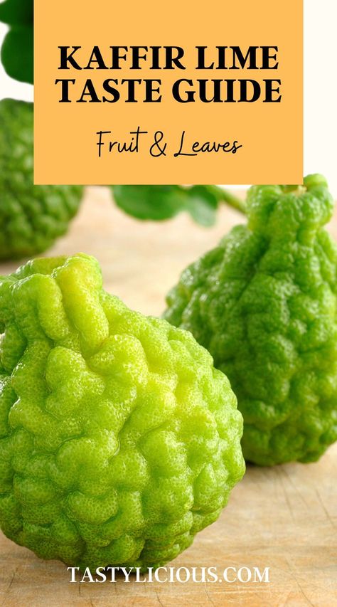 Are you wondering what a kaffir lime tastes like? In this article, we’ll take a close look at the taste, texture, and aroma of the fruit and its leaves. kaffir lime taste | how does kaffir lime taste | kaffir lime leaves taste | what do kaffir lime leaves taste like | thai taste kaffir lime leaves | what does kaffir lime leaves taste like Ayurveda Vata Diet, Frozen Lime Margarita Recipe, Kaffir Lime Recipes, Aesthetic Soup, Fall Soup Recipes Healthy, Lime Juice Margarita, Lime Cocktails, Soup Aesthetic, Lime Margarita Recipe