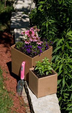 A great article about using cardboard in the garden... composting... planting... laying out a garden path, etc. Garden Containers, Natural Garden, Garden Boxes, Garden Paths, Herb Garden, Dream Garden, Garden Planning, Garden And Yard, Garden Planters