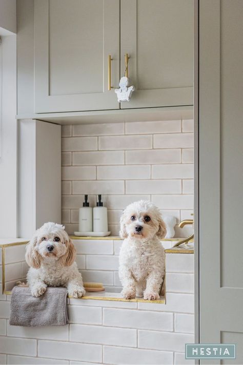 #diy #laundry #laundryroomdesign Utility Door Ideas, Dog Bath In Laundry Room, Dog Washing Station In Laundry Room, Laundry Room With Dog Bath, Pet Bathing Station, Dog Baths, Dog Bathing Station, Landry Room, Pet Washing Station