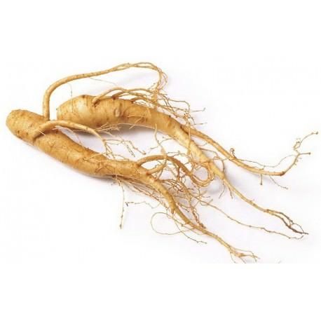 One of the most widely used and acclaimed herbs in the world, Korean ginseng is magic with its wonders. This all-natural antioxidant has had a long and illustrious history as an herb for health, and has been used for centuries. Korean Ginseng, Cash Crop, Red Ginseng, Herbs For Health, Garden Fountain, Greenhouse Gardening, Hydroponic Gardening, Traditional Medicine, Herbal Supplements