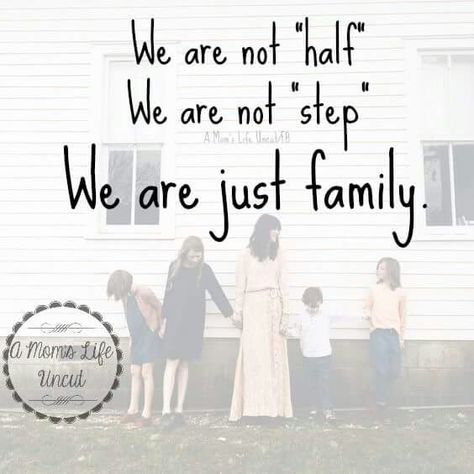 I have always taken this stance and tried to teach our children we are just one family. No half brother, no half sister. Just siblings together as one family.   Bio-mom....not so much. She is more focused on diving us. Controlling the kids and destroying that "we are all one family" idea.   One day we will be together again. I hope. Bio Mom, Sibling Quotes, Step Siblings, Half Siblings, Family Circus, Parental Alienation, Toxic Family, Half Brother, Blended Family