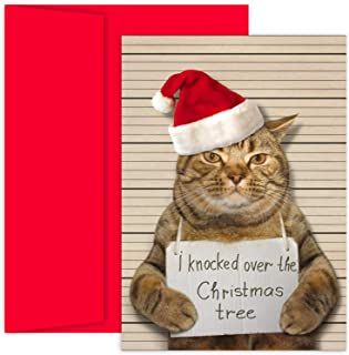 Amazon.com: christmas cards boxed - Masterpiece Studios Cat Christmas Cards, Joy Christmas Card, Christmas Card Envelopes, Animals Playing, Cat Stockings, Bad Cat, Warmest Wishes, Cat Greeting Cards, Boxed Christmas Cards