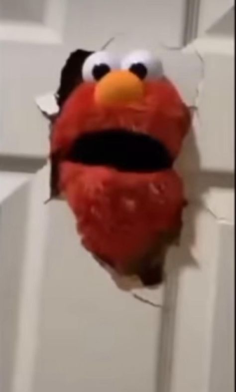 Elmo why Cursed Elmo, Wheezing Laughing, Funny Elmo, Elmo Videos, Elmo Memes, Head Memes, Funny Comedians, Elmo World, Things To Laugh At