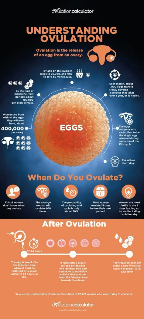 What Is Ovulation, Fertility Awareness Method, Fertility Foods, Fertility Awareness, Fertility Health, Fertility Diet, Fertility Boost, Menstrual Health, Pregnancy Nutrition