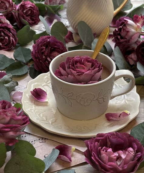 Juliana Core, Magenta Aesthetic, Tea Aesthetic, Rose Aesthetic, Magenta Rose, Rosé Aesthetic, Aesthetic Inspiration, Morning Beautiful, Instagram Photo Inspiration