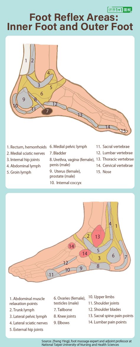 Miraculous Reflexology: How to Give Yourself a Foot Massage That Heals the Body Reflexology Benefits, Tree Dies, Reflexology Points, Reflexology Foot Chart, Thoracic Vertebrae, Foot Reflexology Massage, Lumbar Pain, Spine Pain, Massage Therapy Techniques