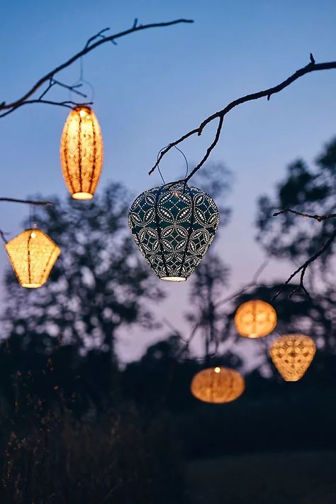 Shop All Outdoor | Anthropologie Tyvek Fabric, Lantern Pathway, Battery Lantern, Lace Lanterns, Outdoor Evening, Lantern String Lights, Outdoor Hanging Lanterns, Wedding Lanterns, Solar Lanterns