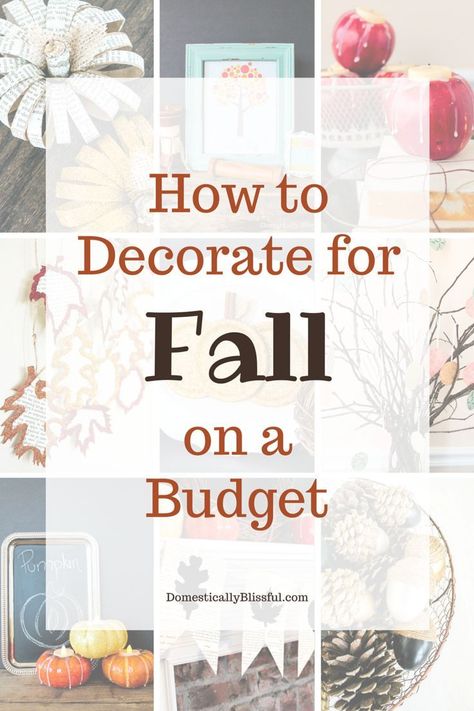 How to decorate for fall on a budget New House On A Budget, Fall On A Budget, Caramel Apple Slices, Fall Date Ideas, Chic Living Room Design, Chic Living Room Decor, Decorate For Fall, Fall Dates, Shabby Chic Living