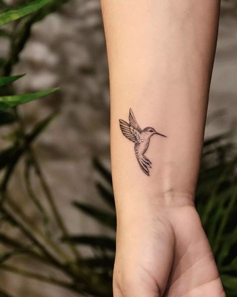 Hummingbird Carnation Tattoo, Pink Hummingbird Tattoo, Hummingbird Tattoo Memorial, Humming Bird Tattoo Small Simple, Hummingbird Tattoo Placement, Hummingbird Flying Tattoo, Simplistic Hummingbird Tattoo, Hummingbird Couple Tattoo, Simple Hummingbird And Flower Tattoo