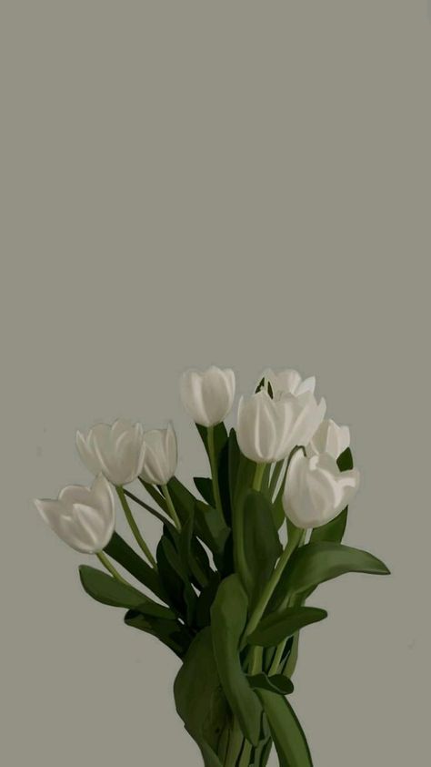 Aesthetic Tulips, Tulips Vintage, White Flower Wallpaper, Whats Wallpaper, Mint Green Aesthetic, Wallpaper Wa, Vintage Flowers Wallpaper, Wallpaper Doodle, Wallpaper Flower