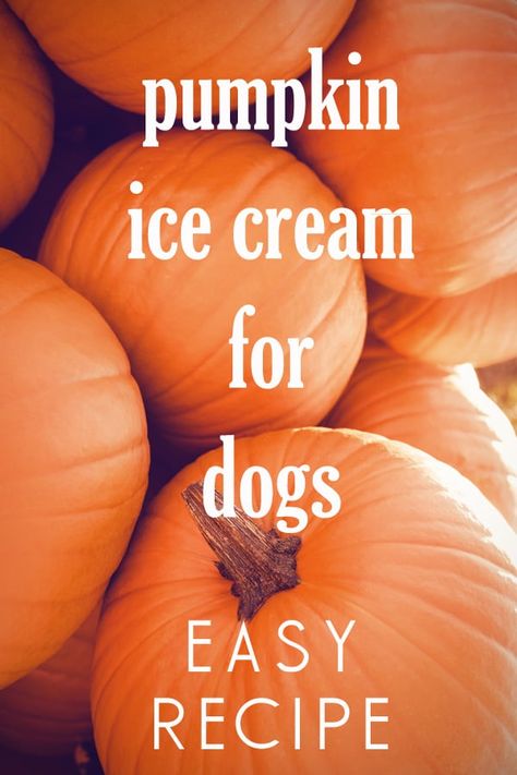 Diy Doggy Ice Cream, Doggy Ice Cream, Doggy Ice Cream Recipes, Doggie Ice Cream Recipes, Doggie Ice Cream, Ice Cream For Dogs, Dog Ice Cream Recipe, Halloween Dog Treats, Easy Dog Treat Recipes