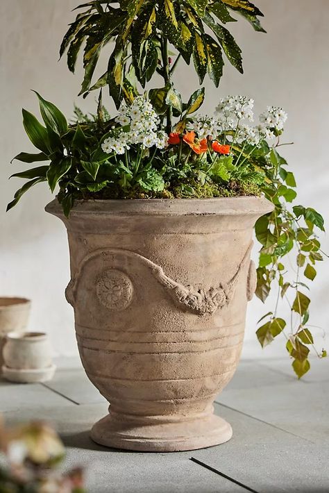 vase Terracotta Urn, Plant Troughs, Bottle Terrarium, Blue Outdoor Pillows, Iron Plant Stand, Smooth Concrete, Concrete Bowl, Urn Planters, Flower Pot Garden