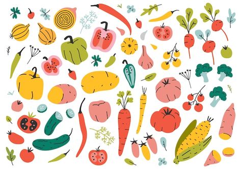 Hand drawn different kinds of vegetables... | Premium Vector #Freepik #vector #food #hand #kitchen #doodle Autumn Squash, Shadow Illustration, Vegetable Illustration, Food Doodles, Kinds Of Vegetables, Gift Card Design, Brand Illustration, Doodle Icon, Food Backgrounds