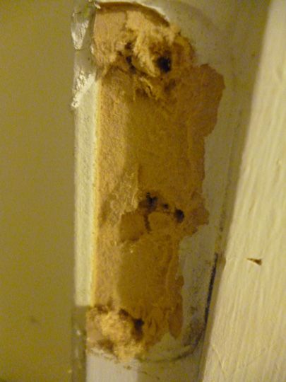 What do I need to do to fix my door hinge? - Home Improvement Stack Exchange Fix Door Frame, Epoxy Glue, Door Jamb, Door Casing, Bathroom Doors, Wall Plug, Tub Faucet, Wall Board, I Understand