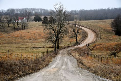 Welcome to the Ozarks, an American region with no single story to tell. Ozarks Missouri, Cheap Land, Color Television, Missouri State University, Silver Dollar City, Southern Culture, American Story, Ozark Mountains, The Ozarks