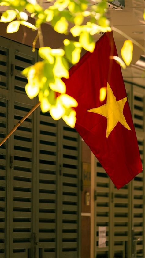 Flag, Building, Yellow, Green, Red