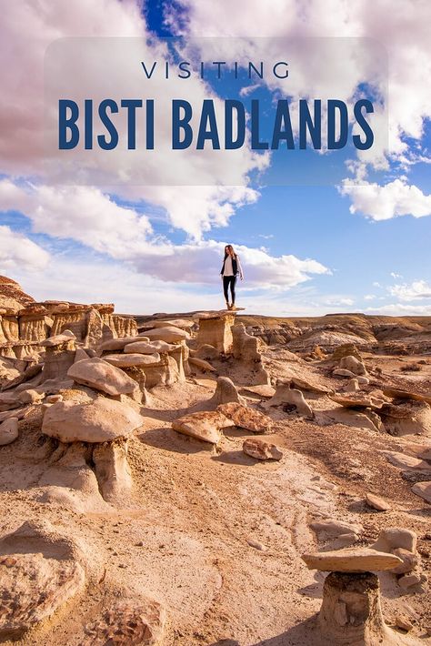 Visiting Bisti Badlands Wilderness, New Mexico Bisti Badlands New Mexico, Mexico Trips, Farmington New Mexico, New Mexico Road Trip, Utah Trip, Catching Flights, Travel New Mexico, Remote Places, Dream Trips