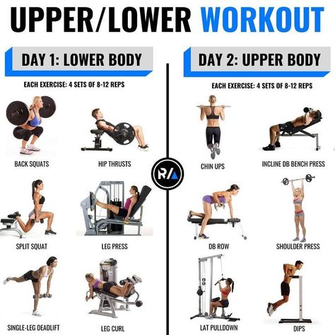 2 Day Workout Plan, 2 Day Split Workout, Day Workout Plan, 6 Week Workout, Gym Workout Plan, Weight Lifting Routine, Gym Workout Plan For Women, Gym Antrenmanları, Workout Splits