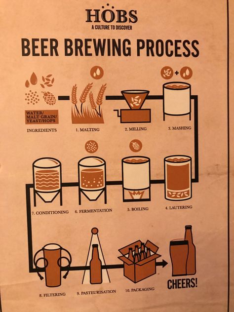 beer process Craft Beer Advertising, Home Brewery Design, Brewing Beer At Home, Beer Knowledge, Beer Making Process, Beer Production, Beer Brewing Process, Popular Alcoholic Drinks, Beer Facts