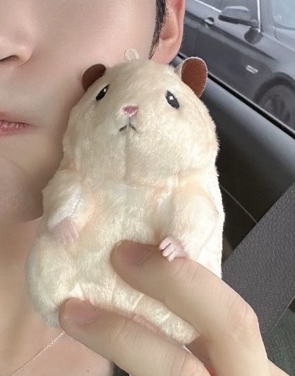 Hanbin Hamster, Zb1 Plushies, Hamster Plushies, Hamster Keychain, Zb1 Hanbin, Hanbin Zb1, Nail Pics, Han Yu Jin, Ricky Kim