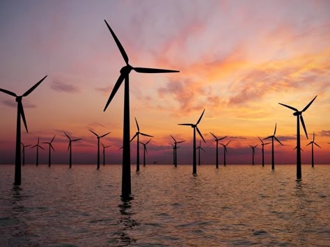 Feds Want To Bring Wind Farms To 480,000 More Acres Off NJ | Middletown, NJ Patch Offshore Wind Farms, Seasonal Jobs, Green Jobs, Offshore Wind, Wind Farm, Solar Electric, Energy Industry, Energy Projects, Wind Energy