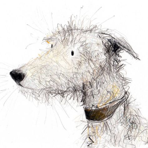 Catherine Rayner on Instagram: “‘Lupin the Lurcher’ A fair few whiskers for you this evening #lurcherlove. 🤍 (The original drawing is available from my website)…” Dog Art Projects, Catherine Rayner, Scruffy Dogs, Burnt Offerings, Dog Portraits Art, Animal Illustration Art, Bird Paintings, Scribble Art, Dog Sketch